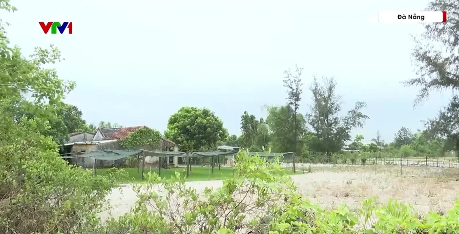 Gần 30 năm mòn mỏi chờ đợi dự án Làng Đại học Đà Nẵng Gần 30 năm mòn mỏi chờ đợi dự án Làng Đại học Đà Nẵng