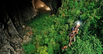 Gần 4.400 loài động, thực vật được ghi nhận ở Phong Nha - Kẻ Bàng