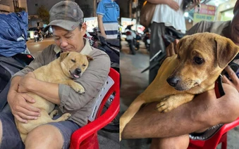 Gặp người đàn ông suốt 1 tháng rong ruổi từ Long An lên TP.HCM tìm chú chó nhà gây xúc động, cuối cùng điều kỳ diệu đã xảy ra!