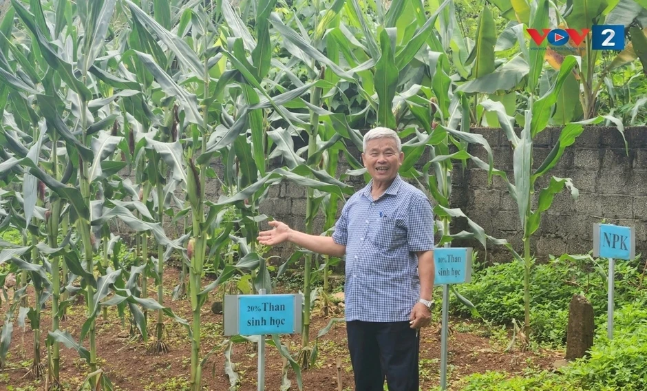 Già hóa dân số mở ra cơ hội lớn cho “kinh tế bạc” tại Việt Nam Già hóa dân số mở ra cơ hội lớn cho “kinh tế bạc” tại Việt Nam