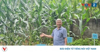 Già hóa dân số mở ra cơ hội lớn cho “kinh tế bạc” tại Việt Nam