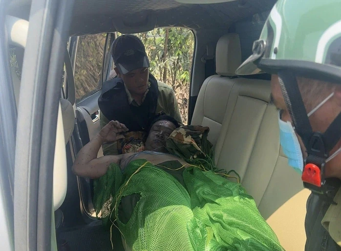 Gia Lai: Bị ong đốt khi tuần tra rừng, một người tử vong, nhiều người bị thương Gia Lai: Bị ong đốt khi tuần tra rừng, một người tử vong, nhiều người bị thương