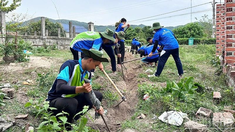 Gia Lai: Dấu ấn màu áo xanh tình nguyện tại Vĩnh Quang Gia Lai: Dấu ấn màu áo xanh tình nguyện tại Vĩnh Quang