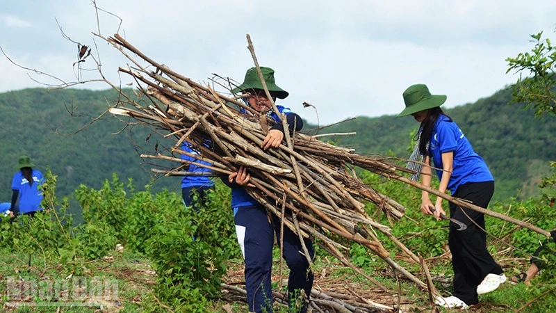 Gia Lai: Dấu ấn màu áo xanh tình nguyện tại Vĩnh Quang Gia Lai: Dấu ấn màu áo xanh tình nguyện tại Vĩnh Quang