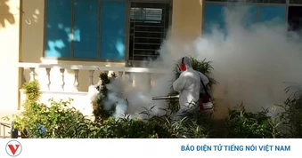 Gia Lai ghi nhận ca tử vong đầu tiên do sốt xuất huyết trong năm 2026