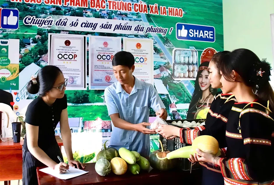 Gia Lai: Livestream bán nông sản, gây quỹ hỗ trợ 1.000 học sinh