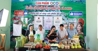 Gia Lai: Livestream bán nông sản, gây quỹ hỗ trợ 1.000 học sinh