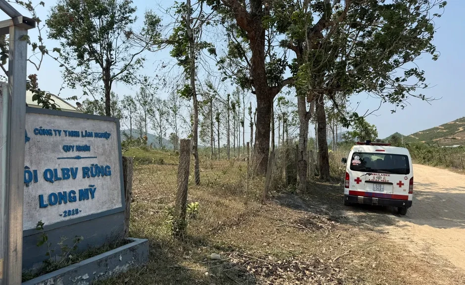 Gia Lai: Ong đốt 1 người tử vong, 4 người nhập viện Gia Lai: Ong đốt 1 người tử vong, 4 người nhập viện