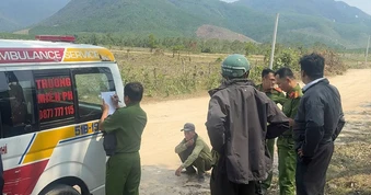 Gia Lai: Ong đốt 1 người tử vong, 4 người nhập viện
