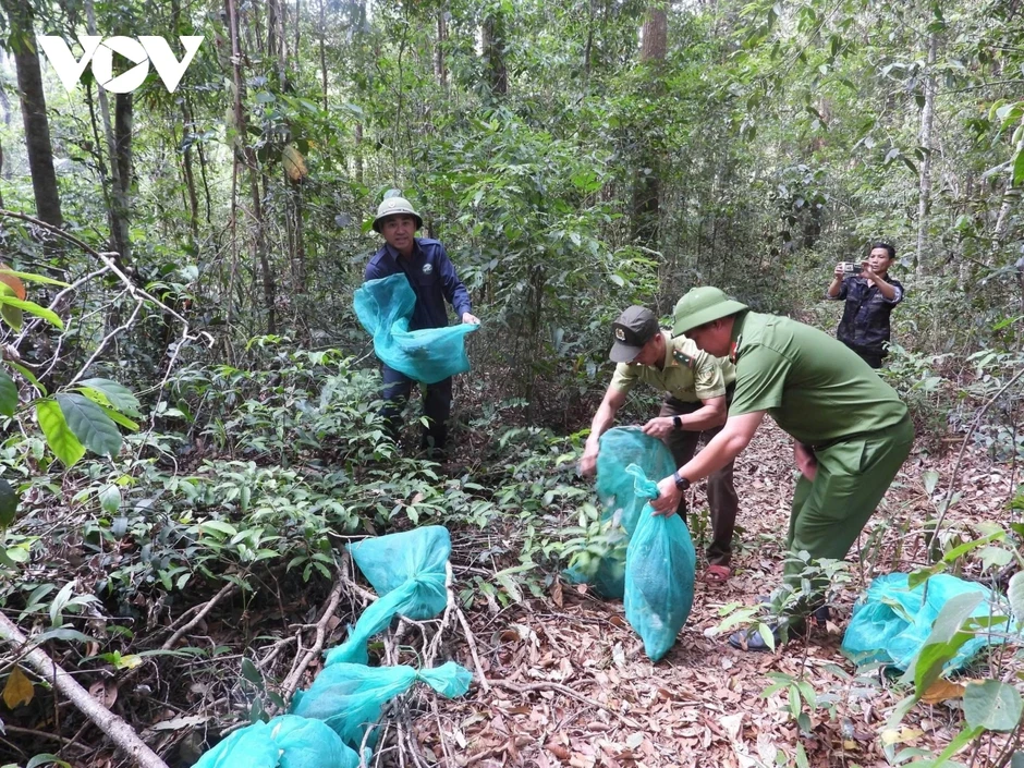 Gia Lai tái thả 8 cá thể động vật hoang dã quý hiếm về rừng tự nhiên Gia Lai tái thả 8 cá thể động vật hoang dã quý hiếm về rừng tự nhiên
