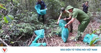 Gia Lai tái thả 8 cá thể động vật hoang dã quý hiếm về rừng tự nhiên