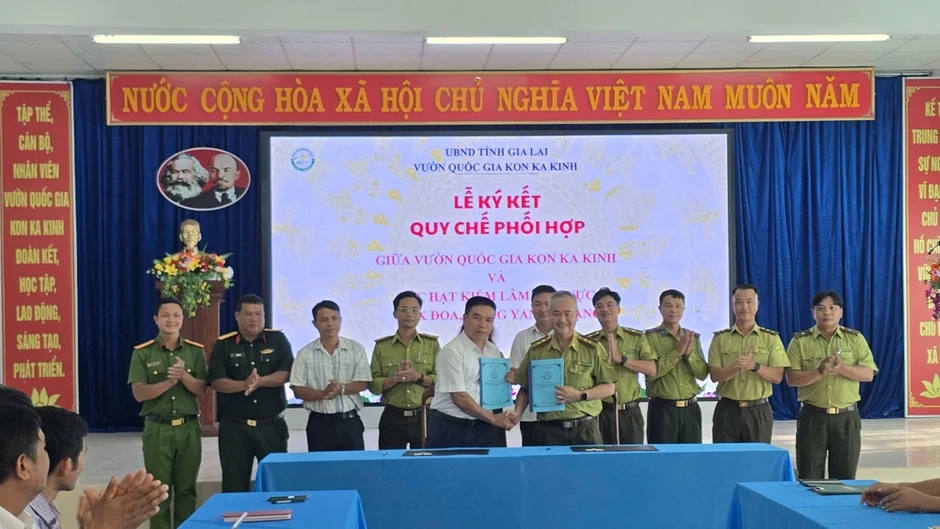 Gia Lai: Thả nhiều cá thể rùa, chim quý vào rừng Kon Ka Kinh Gia Lai: Thả nhiều cá thể rùa, chim quý vào rừng Kon Ka Kinh