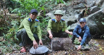 Gia Lai: Thả nhiều cá thể rùa, chim quý vào rừng Kon Ka Kinh