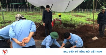 Gia Lai thống nhất đầu mối tiếp nhận thông tin về liệt sĩ