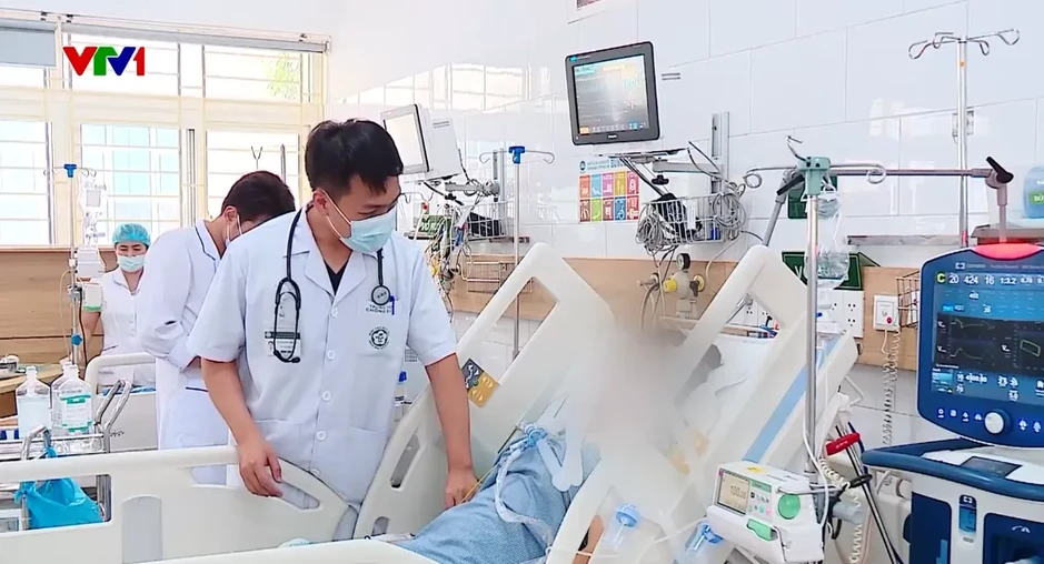 Gia tăng bệnh nhân nguy kịch do rắn độc cắn Gia tăng bệnh nhân nguy kịch do rắn độc cắn
