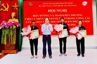Giải cứu đồi mồi quý hiếm mắc lưới thải trên biển Côn Đảo
