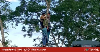 Giải cứu người đàn ông đứng trên cây cao 15m trong trạng thái hoảng loạn