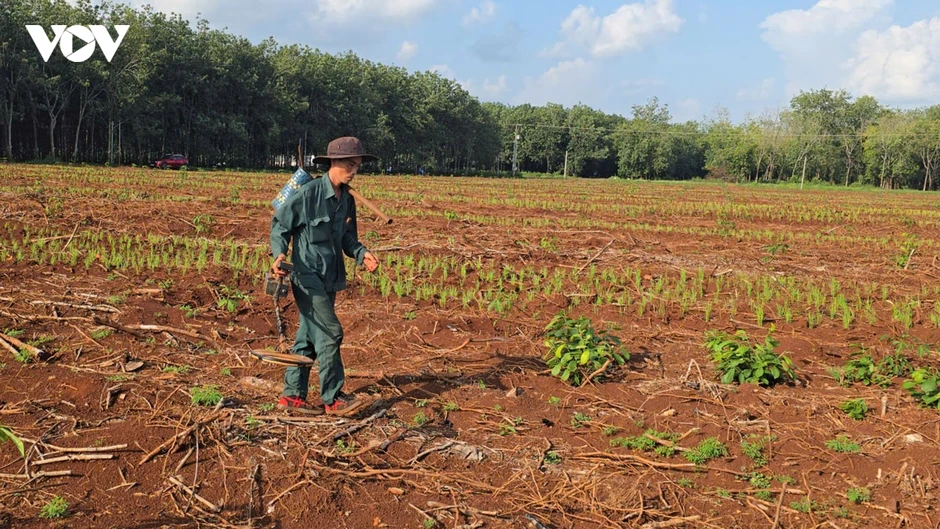 Giải mã “tọa độ lửa" ở Đồng Nai: Chưa tìm hết các anh, chưa ngơi nghỉ Giải mã “tọa độ lửa" ở Đồng Nai: Chưa tìm hết các anh, chưa ngơi nghỉ