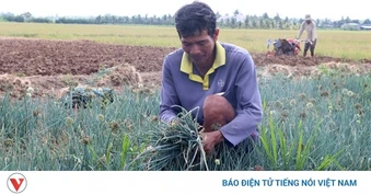 Giảm nghèo bền vững trong vùng đồng bào dân tộc thiểu số ở Cần Thơ