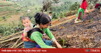Gieo rừng, giữ đất, dựng tương lai ở Thuận Hòa