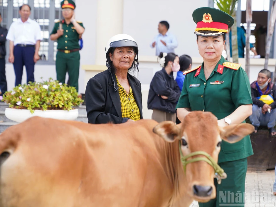 Gieo sinh kế trên vùng đất sau lũ Gieo sinh kế trên vùng đất sau lũ