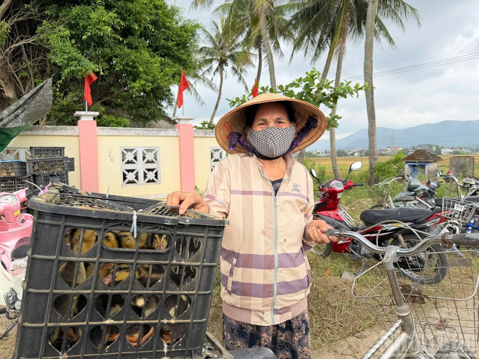 Gieo sinh kế trên vùng đất sau lũ Gieo sinh kế trên vùng đất sau lũ