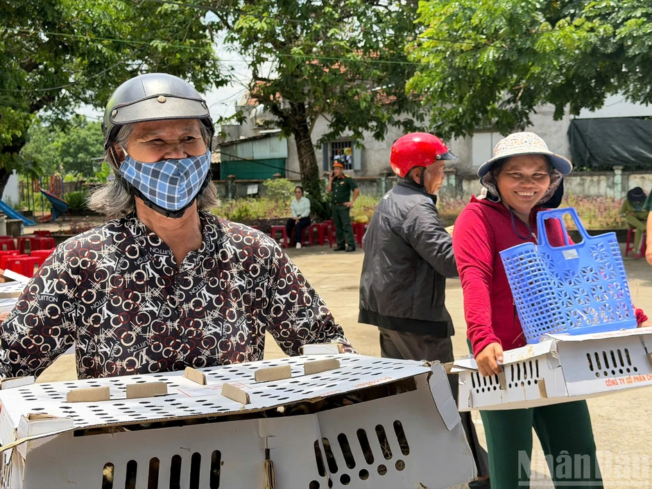 Gieo sinh kế trên vùng đất sau lũ Gieo sinh kế trên vùng đất sau lũ