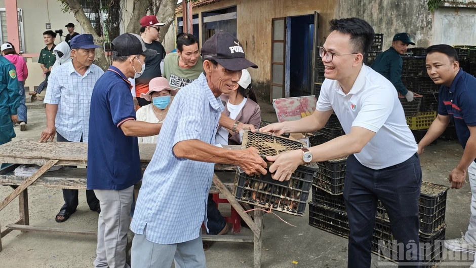 Gieo sinh kế trên vùng đất sau lũ Gieo sinh kế trên vùng đất sau lũ
