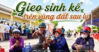Gieo sinh kế trên vùng đất sau lũ