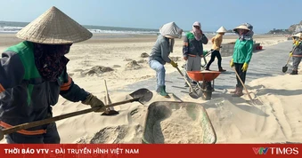 Gió chướng thổi mạnh, cát biển phủ kín Bãi Sau ở TP Hồ Chí Minh