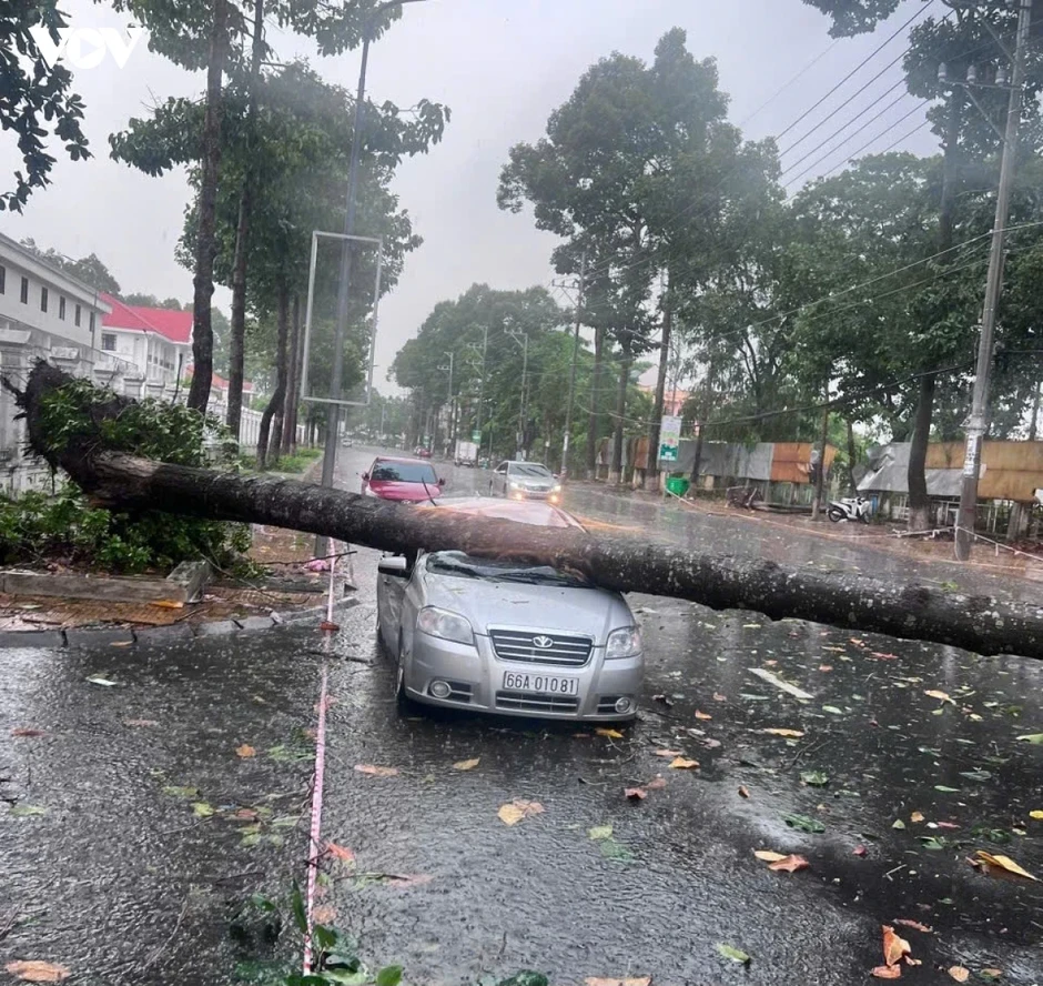 Giông lốc liên tiếp ở Đồng Tháp khiến nhiều nhà bị sập, cây đổ, thiệt hại tiền tỷ