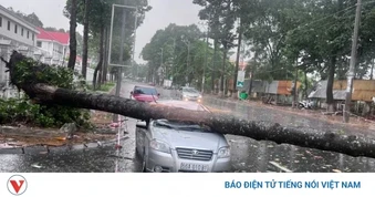 Giông lốc liên tiếp ở Đồng Tháp khiến nhiều nhà bị sập, cây đổ, thiệt hại tiền tỷ