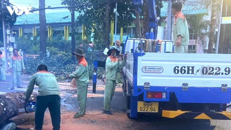Giông lốc quật ngã hàng loạt cây xanh ở phường Cao Lãnh (Đồng Tháp)