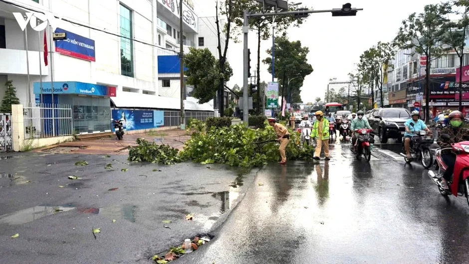 Giông lốc quật ngã hàng loạt cây xanh ở phường Cao Lãnh (Đồng Tháp)