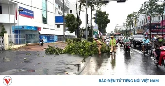 Giông lốc quật ngã hàng loạt cây xanh ở phường Cao Lãnh (Đồng Tháp)