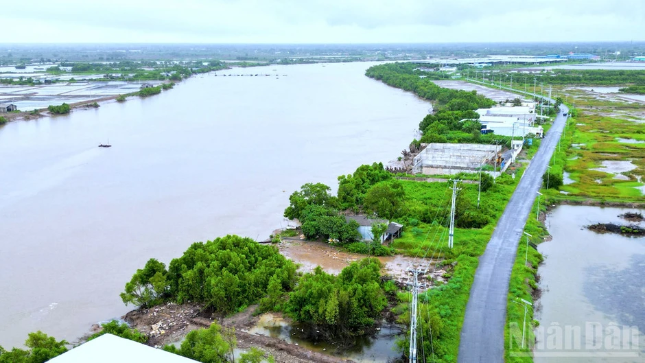 Giữ lại màu xanh cho dải đất Gành Hào Giữ lại màu xanh cho dải đất Gành Hào
