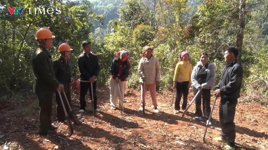 Giữ màu xanh đại ngàn nơi thượng nguồn sông Đà