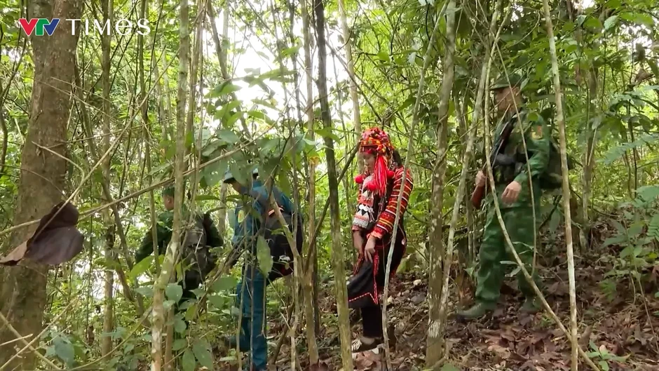 Giữ màu xanh đại ngàn nơi thượng nguồn sông Đà