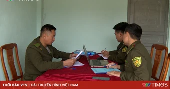 Giữ màu xanh đại ngàn nơi thượng nguồn sông Đà
