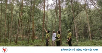 Giữ rừng mùa hanh khô ở Thái Nguyên