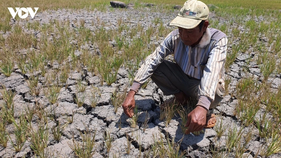 GS.TS Trần Thục: "Mỗi địa phương cần một kịch bản El Nino riêng" GS.TS Trần Thục: "Mỗi địa phương cần một kịch bản El Nino riêng"