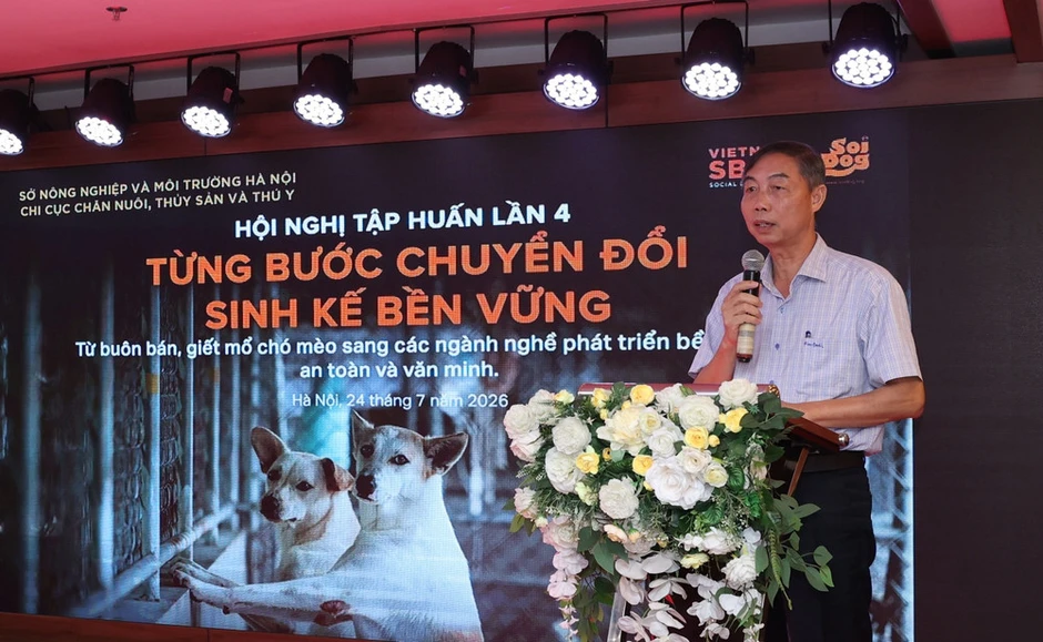 Hà Nội: 28 cơ sở giết mổ, kinh doanh thịt chó, mèo dừng hoạt động Hà Nội: 28 cơ sở giết mổ, kinh doanh thịt chó, mèo dừng hoạt động