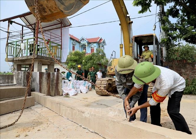 Hà Nội: Chủ động bảo vệ đê Đô Tân trước những tình huống lũ lớn