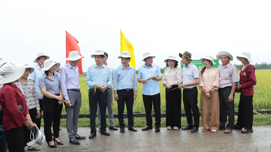 Hà Nội đẩy mạnh cơ giới hóa, mở rộng liên kết tiêu thụ trong sản xuất lúa vụ Xuân 2026 Hà Nội đẩy mạnh cơ giới hóa, mở rộng liên kết tiêu thụ trong sản xuất lúa vụ Xuân 2026