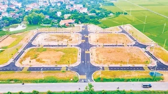 Hà Nội dự kiến đấu giá 306 dự án, khu đất, thu hơn 63.000 tỷ đồng trong năm 2026