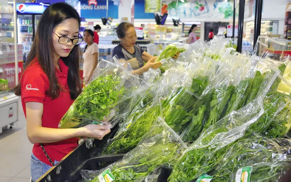 Hà Nội phát triển các vùng sản xuất nông nghiệp tập trung, quy mô lớn Hà Nội phát triển các vùng sản xuất nông nghiệp tập trung, quy mô lớn