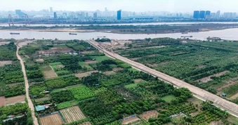 Hà Nội: Quy định chi tiết công trình được xây dựng trên đất nông nghiệp khu vực bãi sông