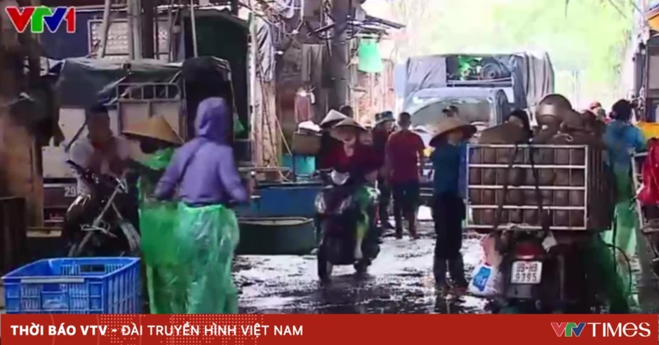 Hà Nội sẽ giải tỏa chợ cá Yên Sở