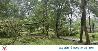 Hà Nội tiếp tục có mưa giông, lốc sét trong vài giờ tới