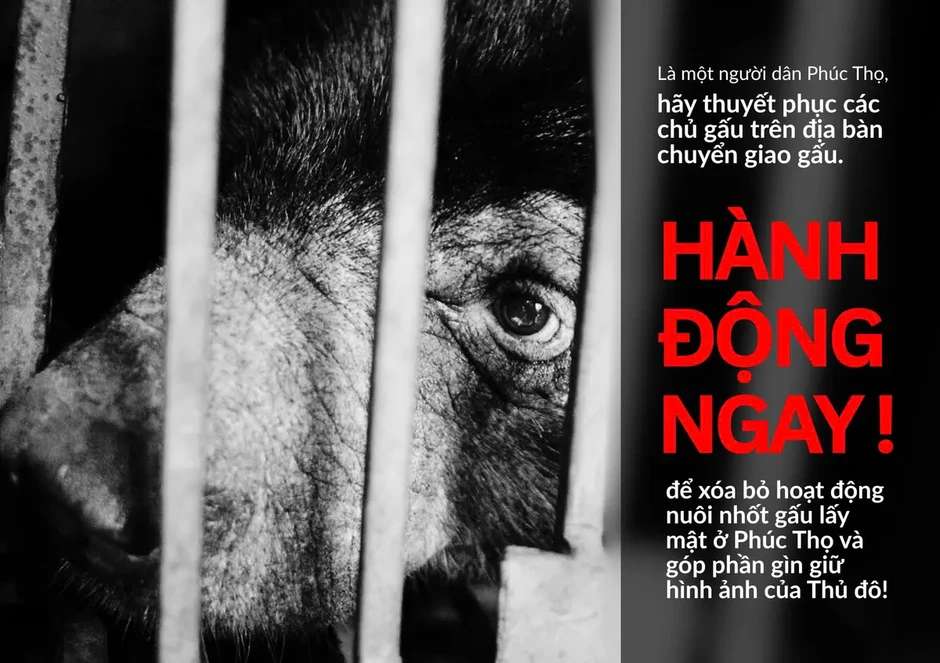 Hà Nội vận động người dân chuyển giao gấu tới các trung tâm cứu hộ Hà Nội vận động người dân chuyển giao gấu tới các trung tâm cứu hộ